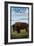 Golden, Colorado - Bison Scene-Lantern Press-Framed Art Print