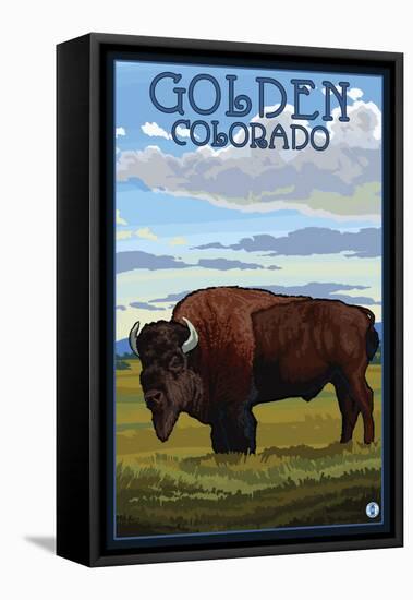 Golden, Colorado - Bison Scene-Lantern Press-Framed Stretched Canvas