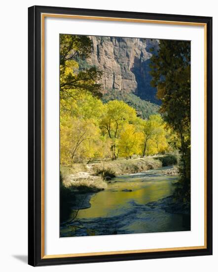 Golden Cottonwood Trees on Banks of the Virgin River, Zion National Park, Utah, USA-Ruth Tomlinson-Framed Photographic Print