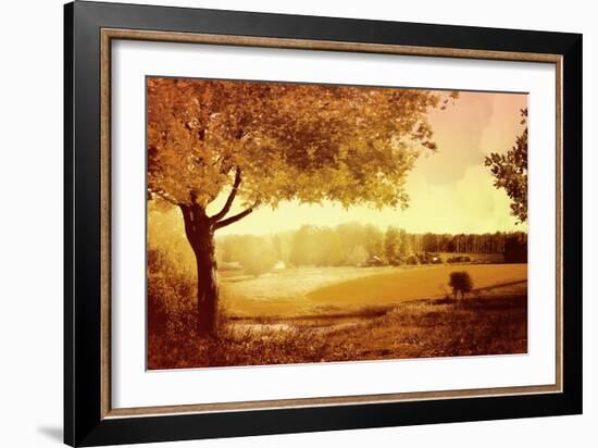 Golden Country-Anna Polanski-Framed Art Print