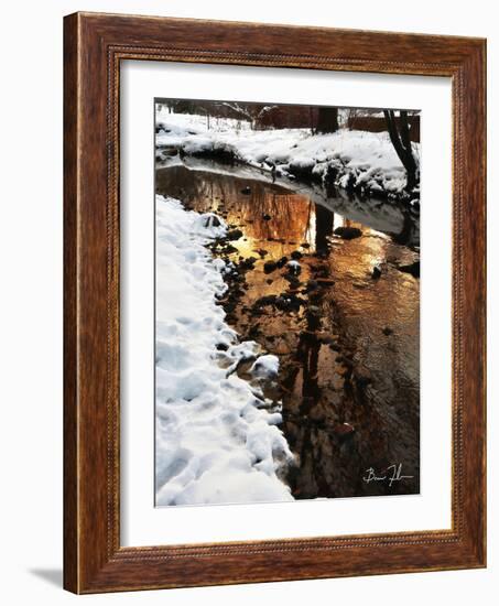 Golden Creek-5fishcreative-Framed Giclee Print