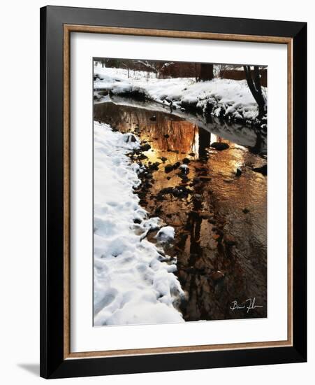 Golden Creek-5fishcreative-Framed Giclee Print