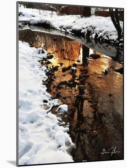 Golden Creek-5fishcreative-Mounted Giclee Print