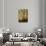 Golden crown-Philippe Sainte-Laudy-Photographic Print displayed on a wall