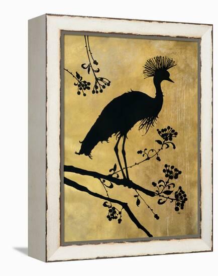Golden Crowned Crane-Filippo Ioco-Framed Stretched Canvas