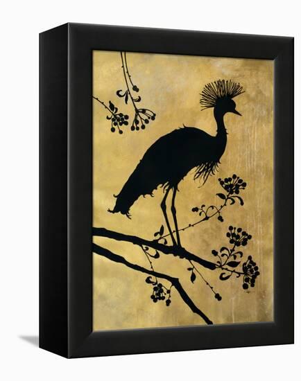 Golden Crowned Crane-Filippo Ioco-Framed Stretched Canvas