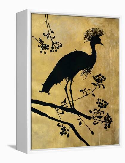 Golden Crowned Crane-Filippo Ioco-Framed Stretched Canvas