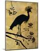 Golden Crowned Crane-Filippo Ioco-Mounted Art Print