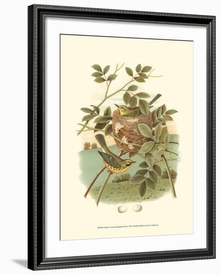 Golden Crowned Kinglet & Nest-null-Framed Art Print