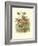 Golden Crowned Kinglet & Nest-null-Framed Art Print