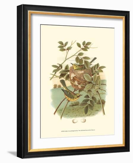 Golden Crowned Kinglet & Nest-null-Framed Art Print