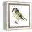 Golden-Crowned Kinglet (Regulus Satrapa), Birds-Encyclopaedia Britannica-Framed Stretched Canvas