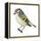 Golden-Crowned Kinglet (Regulus Satrapa), Birds-Encyclopaedia Britannica-Framed Stretched Canvas