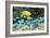 Golden Damselfish And Blue-green Chromis-Georgette Douwma-Framed Photographic Print