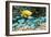 Golden Damselfish And Blue-green Chromis-Georgette Douwma-Framed Photographic Print