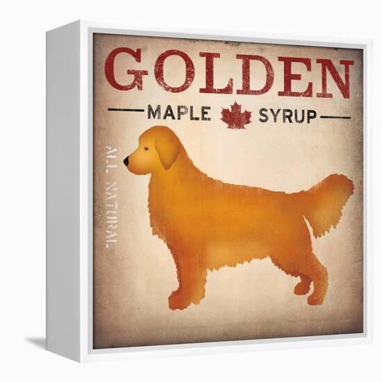 Golden Dog at Show No VT-Ryan Fowler-Framed Stretched Canvas