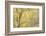 Golden Dreams-Doug Chinnery-Framed Photographic Print