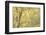 Golden Dreams-Doug Chinnery-Framed Photographic Print