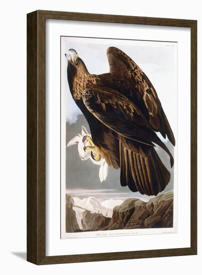 Golden Eagle, 1833-John James Audubon-Framed Giclee Print