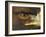 Golden Eagle Adult Portrait, Close up of Eye, Cairngorms National Park, Scotland, UK-Pete Cairns-Framed Photographic Print