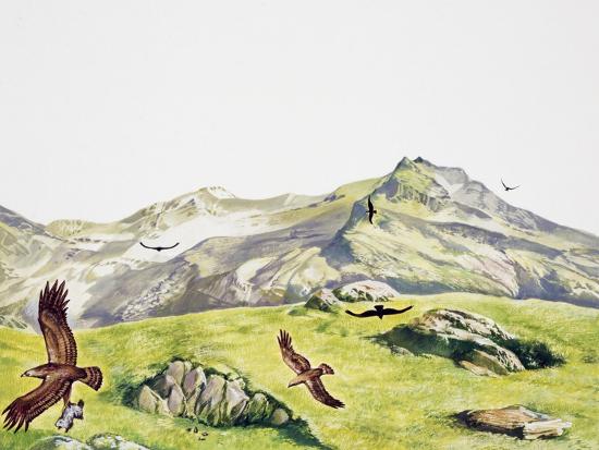 Giclee Print, , large