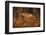 Golden eagle (Aquila chrysaetos), Sweden, Scandinavia, Europe-Janette Hill-Framed Photographic Print