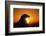 Golden Eagle at Sunrise-W. Perry Conway-Framed Photographic Print