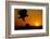 Golden Eagle at Sunset-W. Perry Conway-Framed Photographic Print