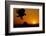 Golden Eagle at Sunset-W. Perry Conway-Framed Photographic Print