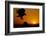 Golden Eagle at Sunset-W. Perry Conway-Framed Photographic Print