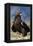 Golden Eagle Clutching Rabbit Kill-W^ Perry Conway-Framed Premier Image Canvas