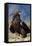 Golden Eagle Clutching Rabbit Kill-W^ Perry Conway-Framed Premier Image Canvas