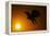 Golden Eagle Flying at Sunrise-W. Perry Conway-Framed Premier Image Canvas