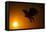 Golden Eagle Flying at Sunrise-W. Perry Conway-Framed Premier Image Canvas