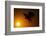 Golden Eagle Flying at Sunrise-W. Perry Conway-Framed Photographic Print