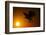 Golden Eagle Flying at Sunrise-W. Perry Conway-Framed Photographic Print