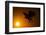 Golden Eagle Flying at Sunrise-W. Perry Conway-Framed Photographic Print