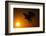 Golden Eagle Flying at Sunrise-W. Perry Conway-Framed Photographic Print