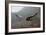 Golden Eagle in Flight-null-Framed Photographic Print