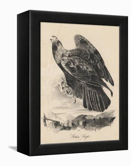 Golden Eagle, Litho by J.T. Bowen, from 'Birds of America', 1840-John James Audubon-Framed Premier Image Canvas