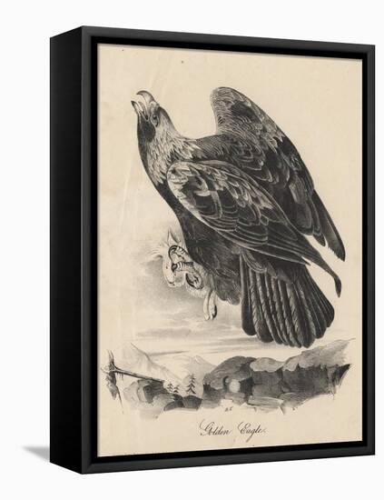 Golden Eagle, Litho by J.T. Bowen, from 'Birds of America', 1840-John James Audubon-Framed Premier Image Canvas