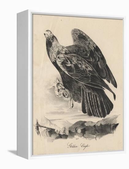 Golden Eagle, Litho by J.T. Bowen, from 'Birds of America', 1840-John James Audubon-Framed Premier Image Canvas