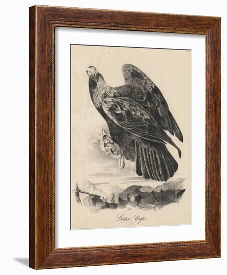 Golden Eagle, Litho by J.T. Bowen, from 'Birds of America', 1840-John James Audubon-Framed Giclee Print