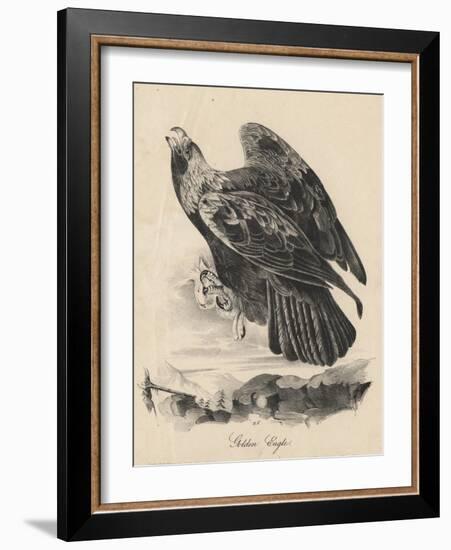 Golden Eagle, Litho by J.T. Bowen, from 'Birds of America', 1840-John James Audubon-Framed Giclee Print