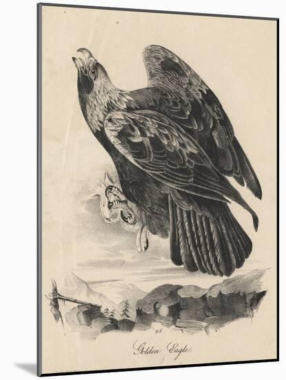 Golden Eagle, Litho by J.T. Bowen, from 'Birds of America', 1840-John James Audubon-Mounted Giclee Print