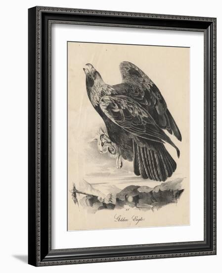 Golden Eagle, Litho by J.T. Bowen, from 'Birds of America', 1840-John James Audubon-Framed Giclee Print