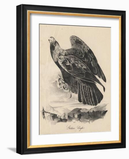 Golden Eagle, Litho by J.T. Bowen, from 'Birds of America', 1840-John James Audubon-Framed Giclee Print