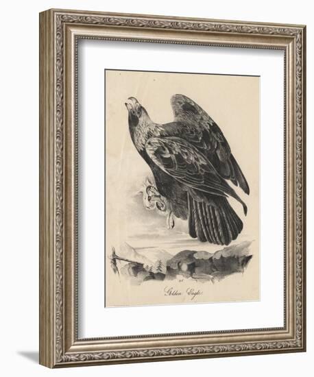 Golden Eagle, Litho by J.T. Bowen, from 'Birds of America', 1840-John James Audubon-Framed Giclee Print