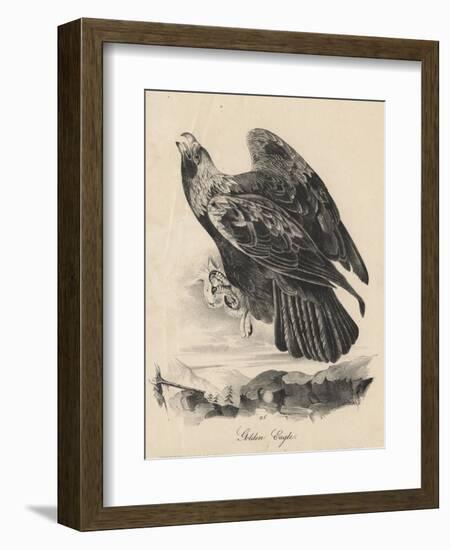 Golden Eagle, Litho by J.T. Bowen, from 'Birds of America', 1840-John James Audubon-Framed Giclee Print