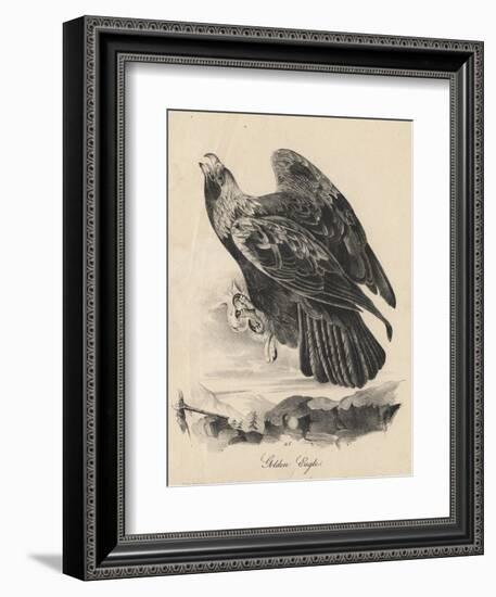 Golden Eagle, Litho by J.T. Bowen, from 'Birds of America', 1840-John James Audubon-Framed Giclee Print